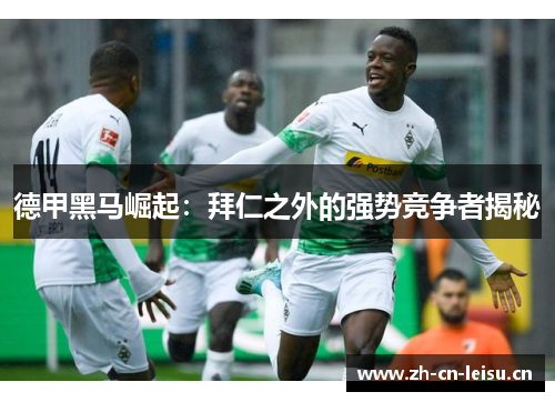 德甲黑马崛起:拜仁之外的强势竞争者揭秘 德甲黑马崛起:拜仁之外的强势竞争者揭秘