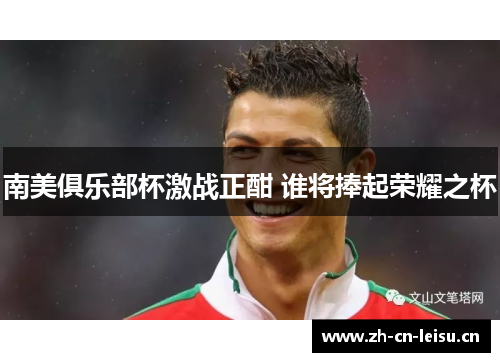 南美俱乐部杯激战正酣 谁将捧起荣耀之杯 南美俱乐部杯激战正酣 谁将捧起荣耀之杯